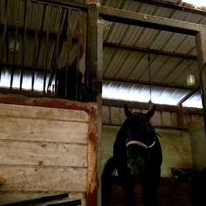 Meet your Posher, An